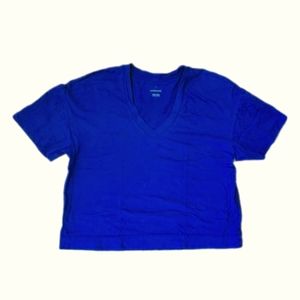 Everlane Royal Blue Boxy V-Neck Tee